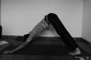 chien tête en bas : comment soulager le mal de dos avec le yoga